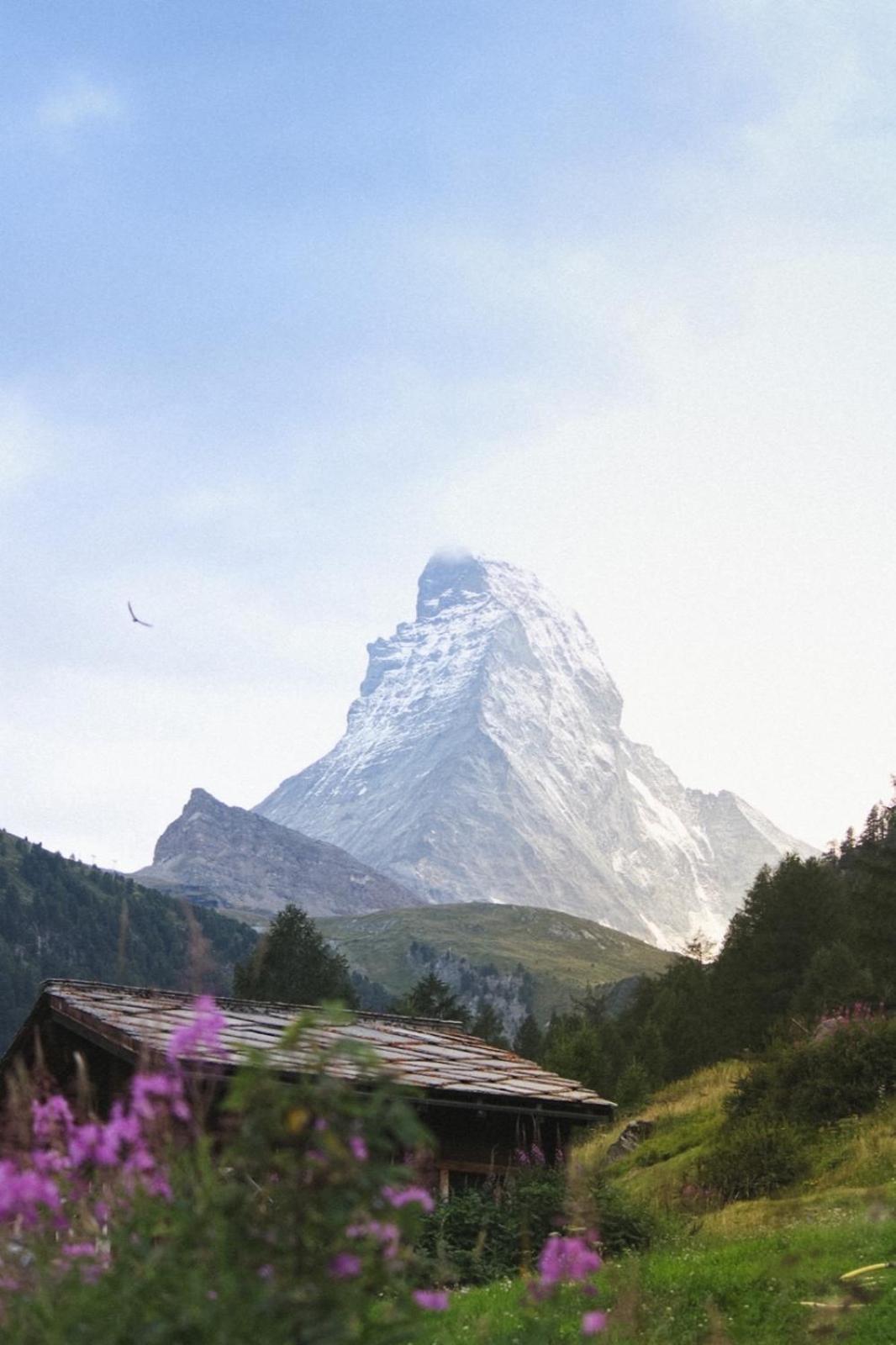 Wolli - Stylish & - Steps To Matterhorn Gondola